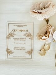 Safarova shop image