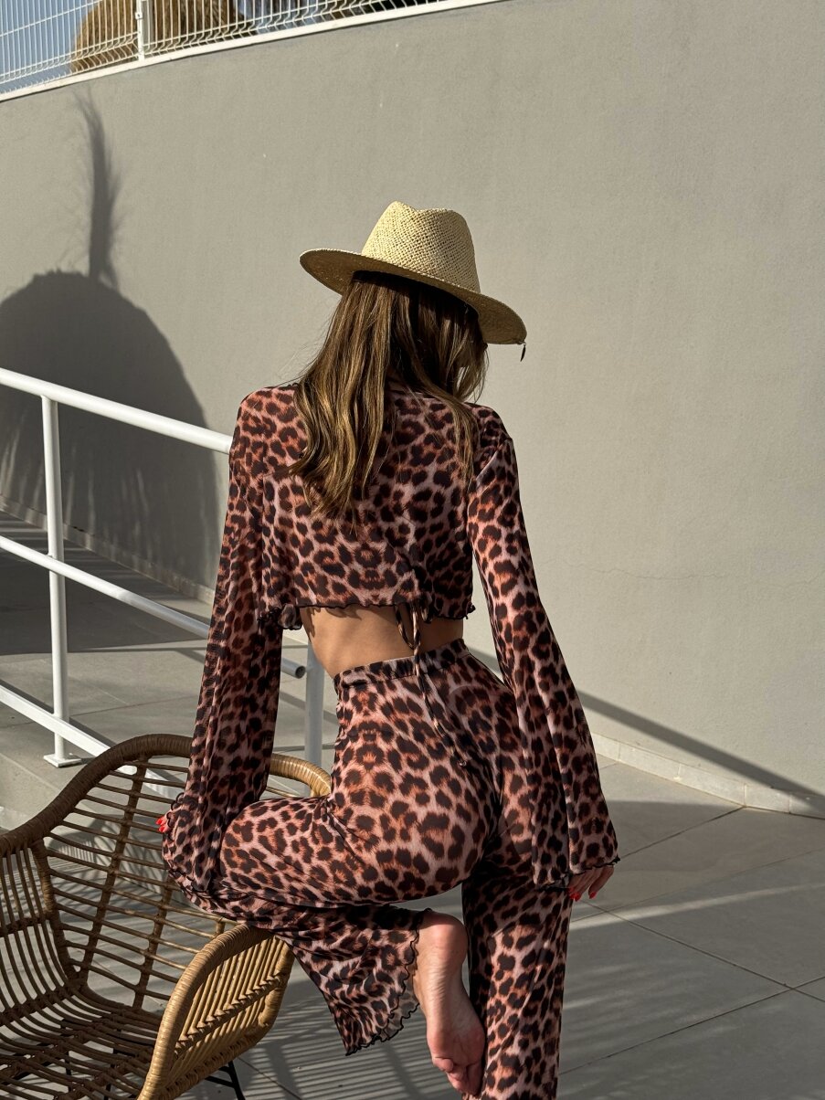 Safarova shop image
